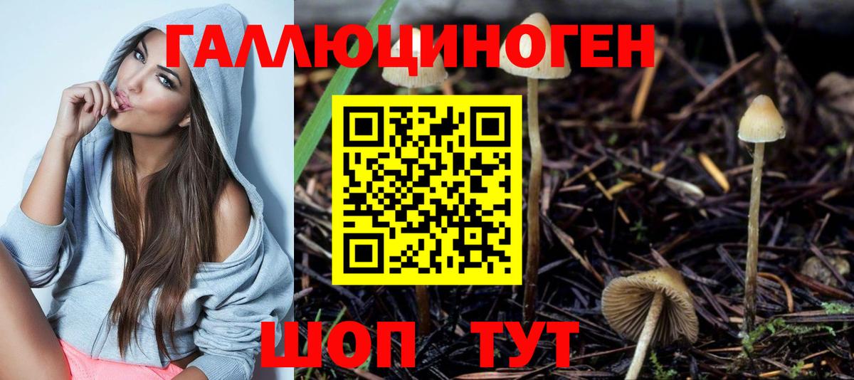 Галлюциногенные грибы Psilocybine cubensis Лабытнанги